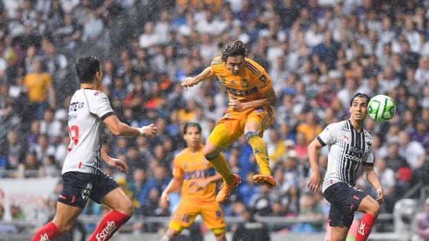 tigres